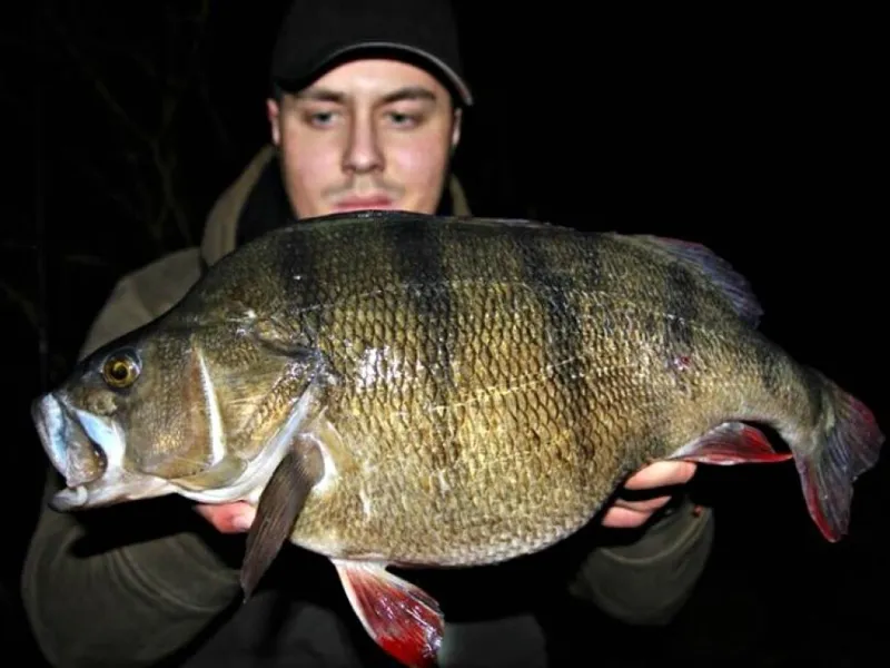 🎣 Fascinerande fakta
